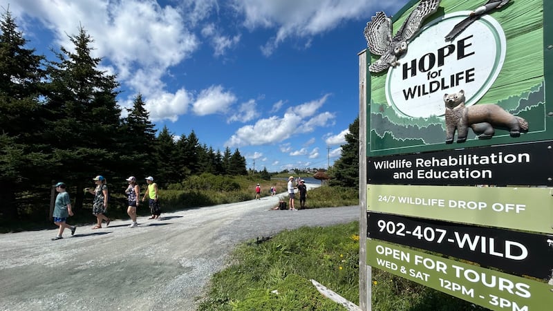 Thousands flock to Hope for Wildlife open house