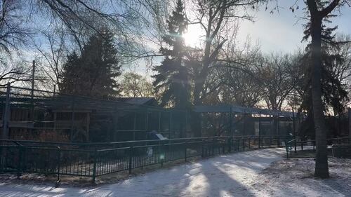 The Edmonton Valley Zoo announced a plan for the next 15 years. Nov. 24, 2025. (Sasha Pietramala/CTV News Edmonton)
