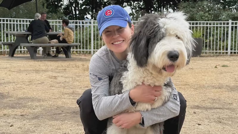 ‘He didn’t deserve it’: Vancouver family seeking answers after dog killed in attack involving 2 other dogs