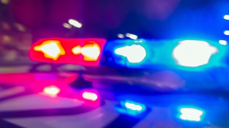 Tractor trailer driver killed in Brant County collision