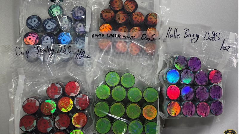 More than $366K seized in illegal online cannabis distribution network take down: OPP
