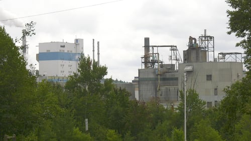‘A nuclear bomb’: Quebec paperboard manufacturer closing because of U.S. tariffs