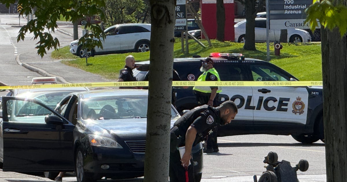 Rmnb Industrial Avenue: Pedestrian dies after being struck by vehicle in ...