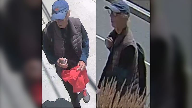 Police release photos of suspect wanted in North York mischief investigation