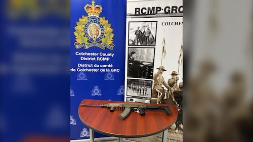 Subject of emergency alert in Belmont, N.S., charged with 14 offences: RCMP