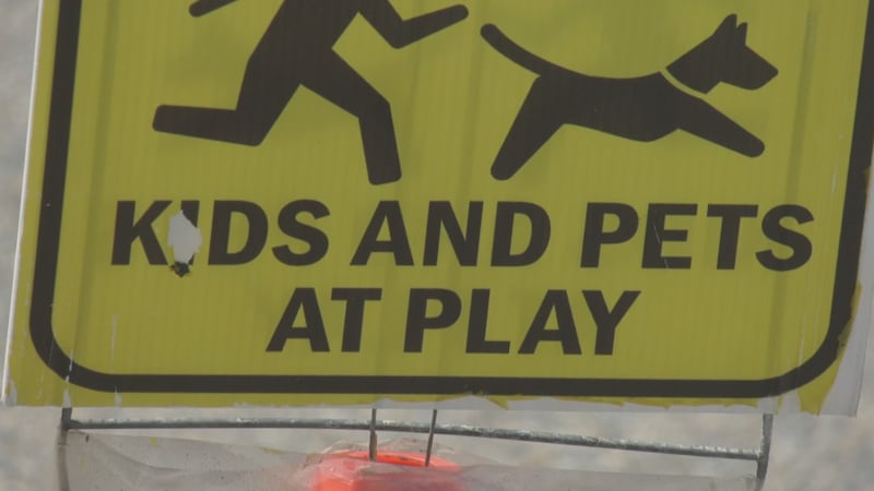 ‘Really distressing’: Mahogany neighbourhood in shock after near-miss collision near family home