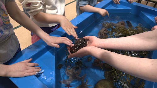 World Oceans Day remains ‘most exciting’ event of the year for organizer