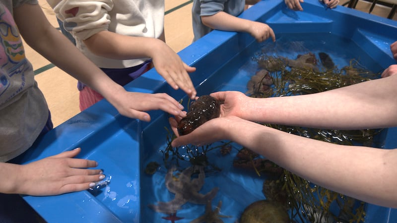 World Oceans Day remains ‘most exciting’ event of the year for organizer