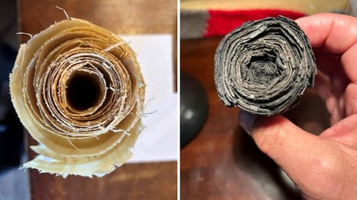 Scientists may soon be able to read more ancient scrolls damaged by Mount Vesuvius eruption