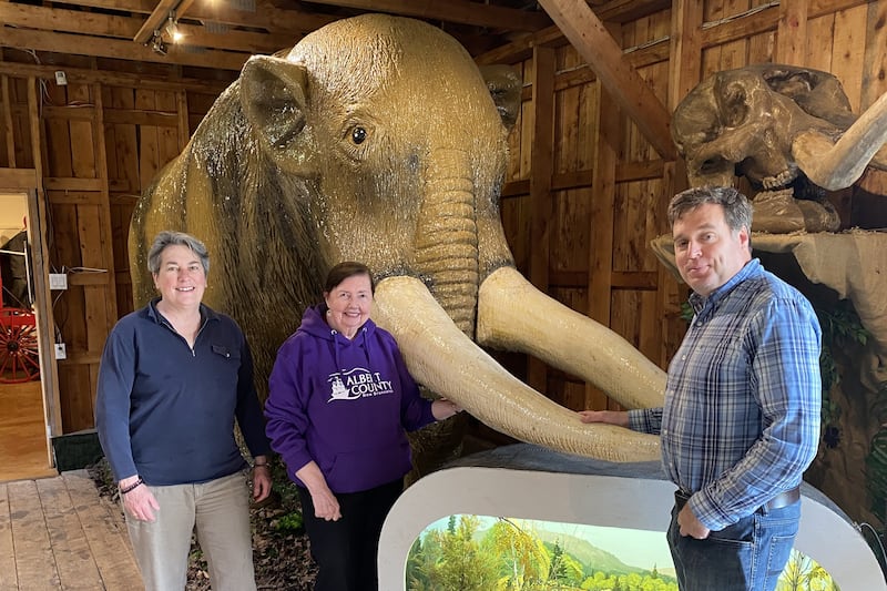 ‘We think moose are big?’ Massive mastodon finds home in New Brunswick