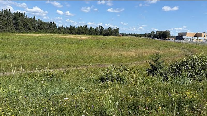 Proposal would see 247-unit subdivision, restaurant, retail outlet built in Val Therese