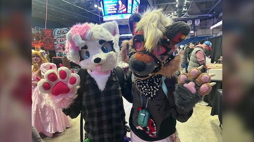 CaperCon participants are pictured dressed as their favourite characters at Sydney Centre 200 in Sydney, N.S., May 31, 2026. (Ryan MacDonald/CTV Atlantic)