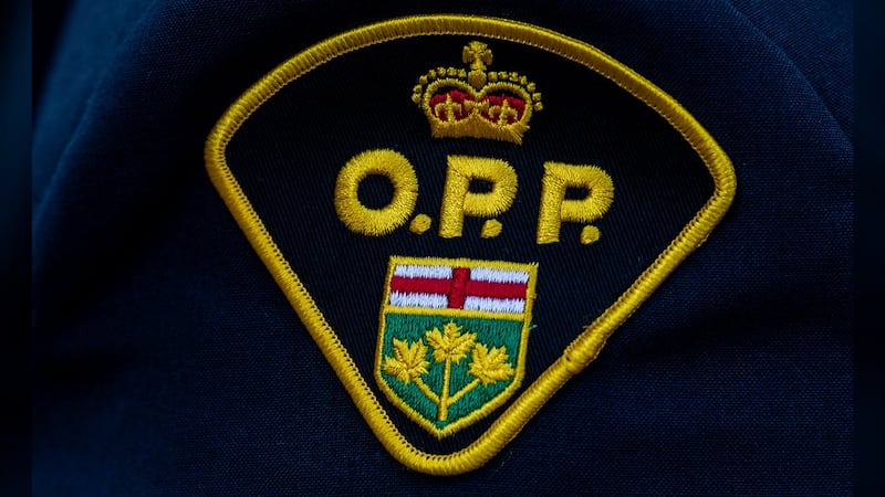 Firearms charges laid after OPP execute search warrant at Tillsonburg residence