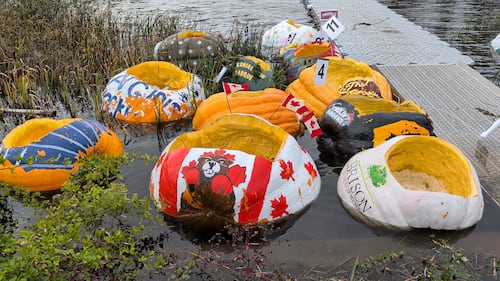 Families went to the Windsor Pumpkin Regatta and Build Your Own Boat Race in Windsor, N.S., on Sunday, Oct. 11, 2026. (Valentine Nkengbeza/CTV Atlantic)