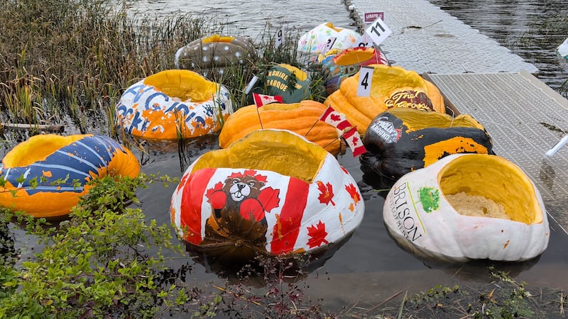 IN PICTURES: Windsor Pumpkin Regatta and Build Your Own Boat Race