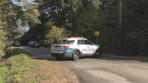 Man found dead after Surrey RV fire
