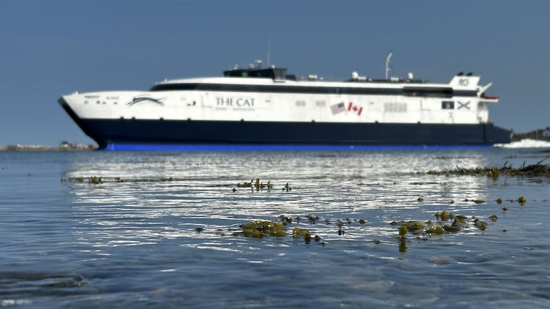 Ferry service returns between Nova Scotia and U.S. with increased reservations for 2026