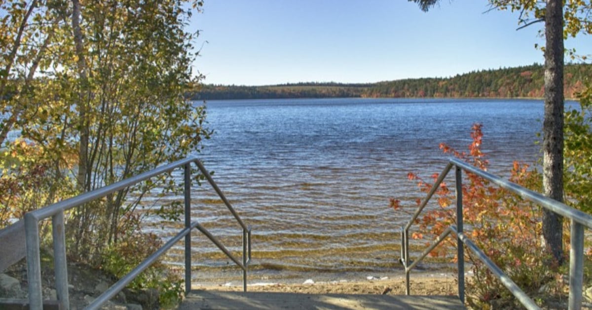 Second Halifax-area beach closes for season due to blue-green algae bloom
