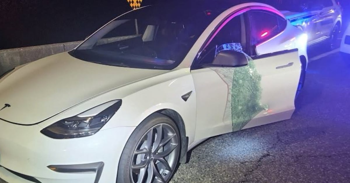 Tesla window ‘dismantled' by Mounties after driver refuses breathalyzer