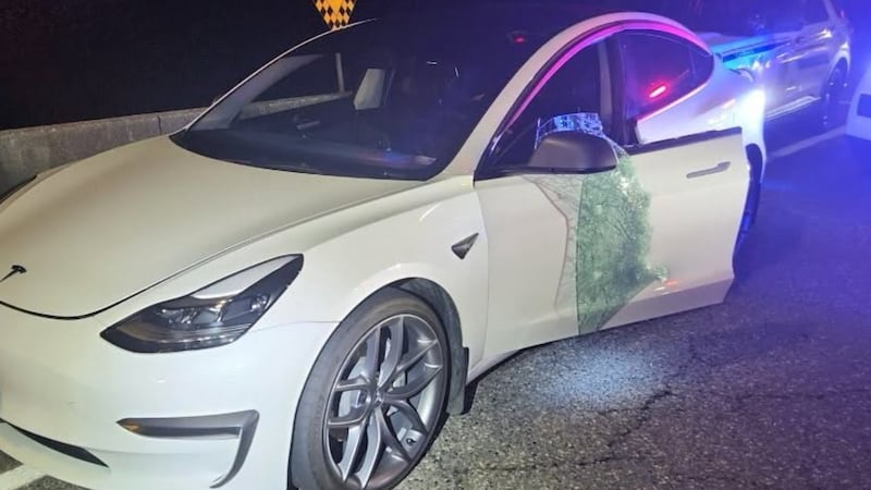 Tesla window ‘dismantled’ by Mounties after driver refuses breathalyzer
