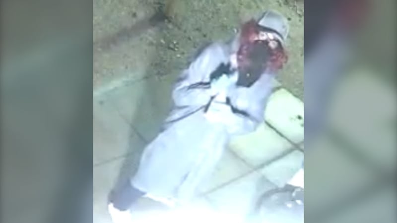 Suspect caught spray-painting store cameras: RCMP