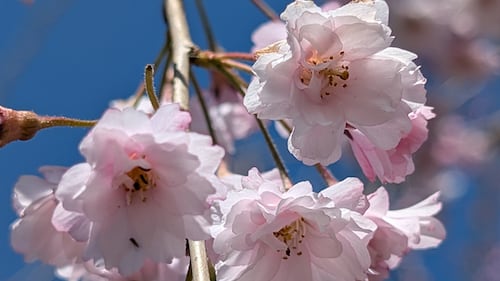 April Viewer Photos