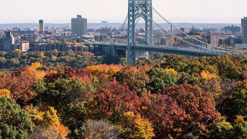 Driver shot to death in road rage incident on George Washington Bridge