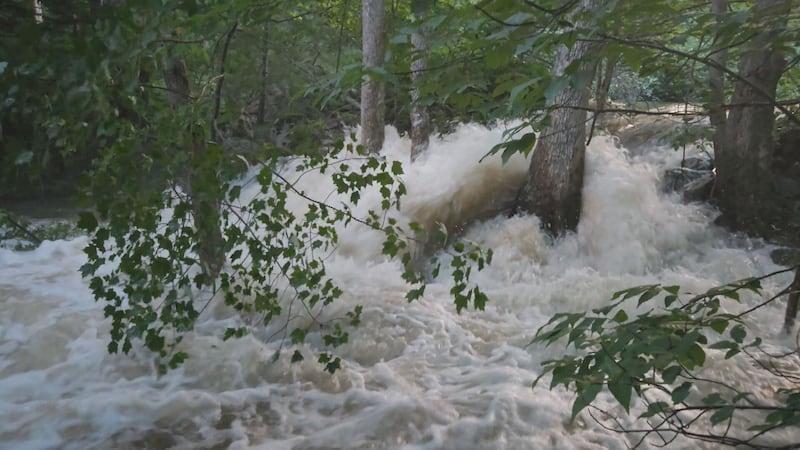 Lunenburg, N.S., residents told to conserve water after Dares Lake dam breach