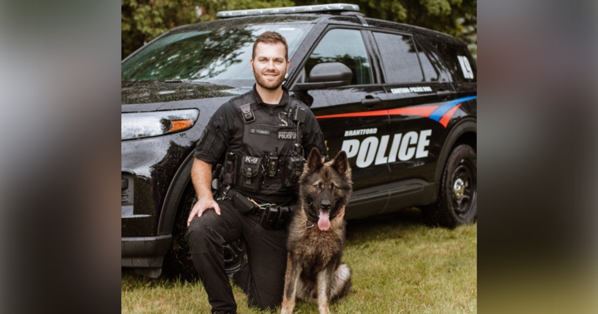 Police dog tracks down armed trespasser in Brantford