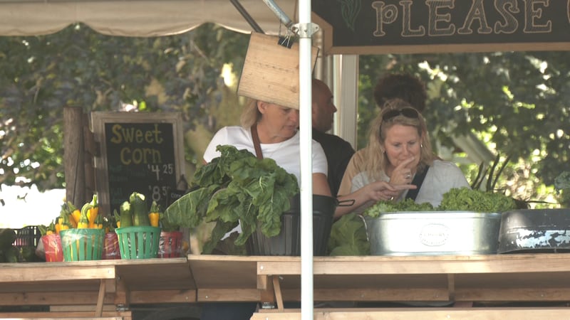 Simcoe County remains a strong destination in $640 million agritourism sector