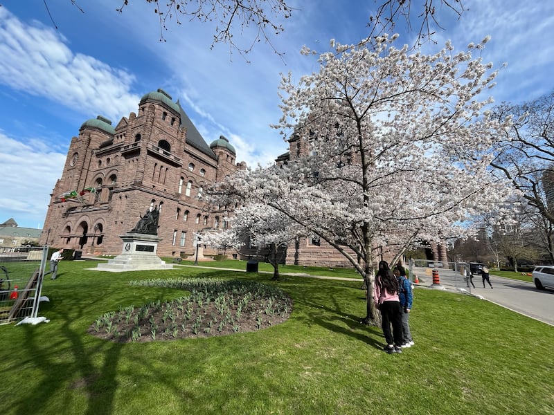 Ontario public workers asked to work hybrid. They're receiving 'blanket rejection letters,' their union says