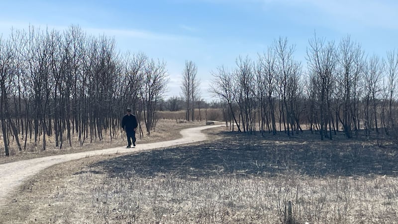 Transcona grass fire under investigation