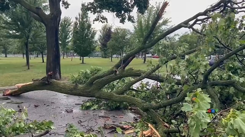 Huntsville hit by downed trees and power outages, residents urged to avoid non-essential travel: OPP