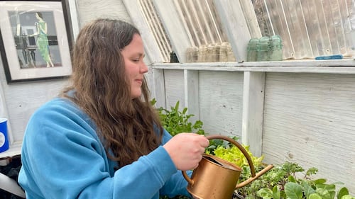 Growing food to save money on groceries: Does it work?