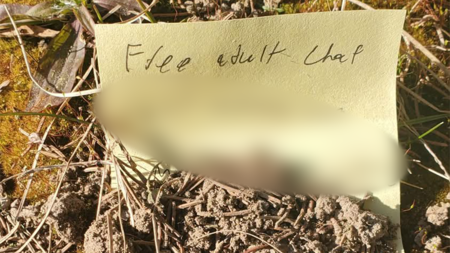 Ont. man charged with child luring after notes were left in park – CTVNews