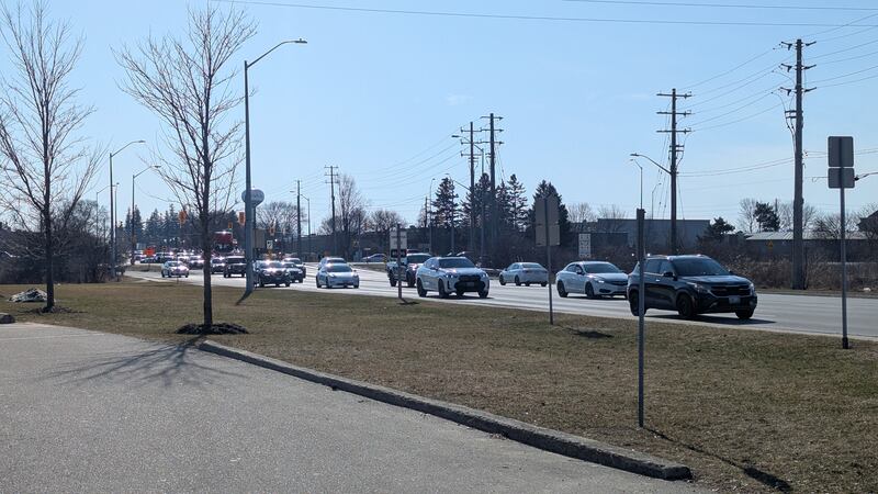 Witnesses intervene after woman sexually assaulted on Guelph street