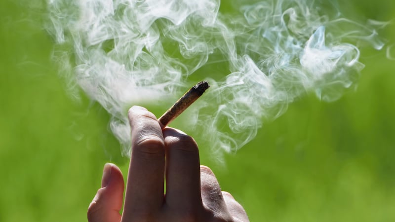 P.E.I. cannabis sales up, province still competing with illicit market: report