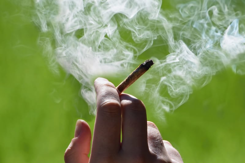 P.E.I. cannabis sales up, province still competing with illicit market: report