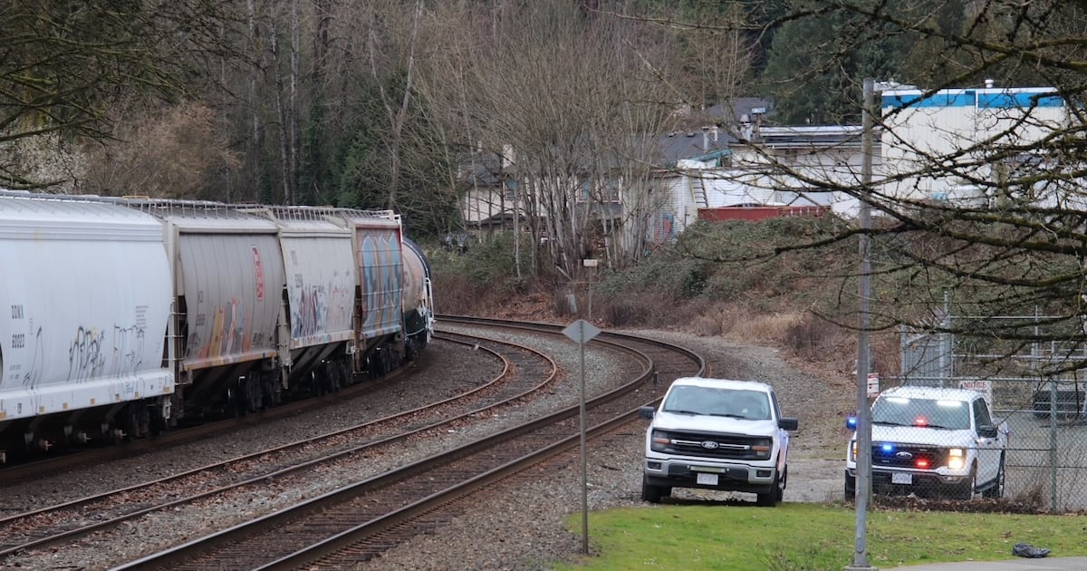 Pedestrian struck, killed by train in Maple Ridge – CTVNews