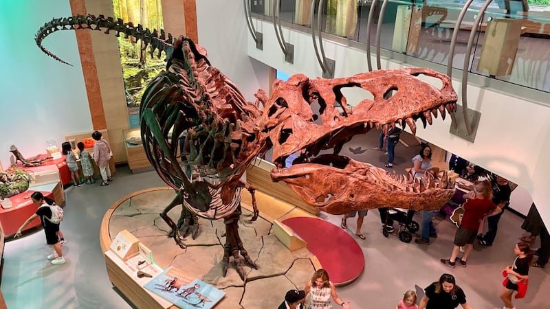 Scotty, the world’s largest T. rex, was discovered in Sask. 35 years ago today