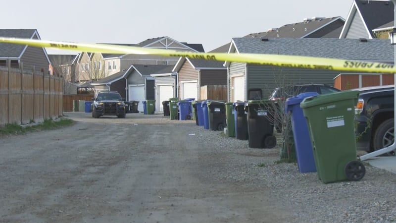 One in serious condition after stabbing in southeast Calgary