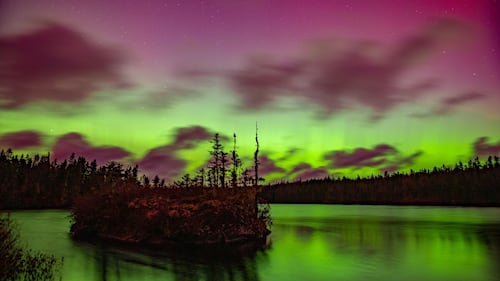 The northern lights are seen in Aspotogan, N.S., on Nov. 11, 2025. (Submitted: Barry Burgess)