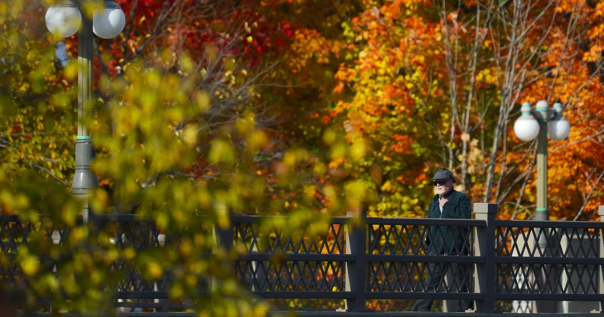 The 'Super El Nino' is upon us. What does that mean for Ontario's fall colours? - CTV News
