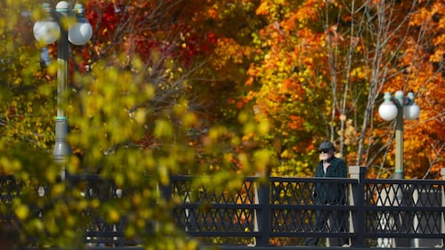 The 'Super El Nino' is upon us. What does that mean for Ontario's fall colours?