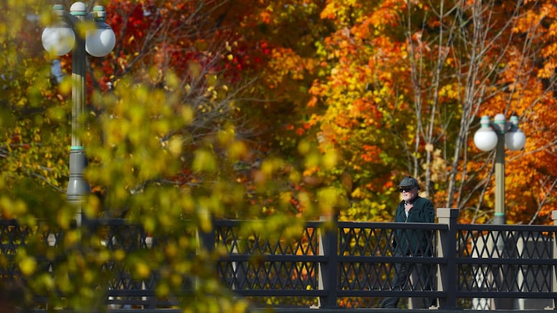 The 'Super El Nino' is upon us. What does that mean for Ontario's fall colours?