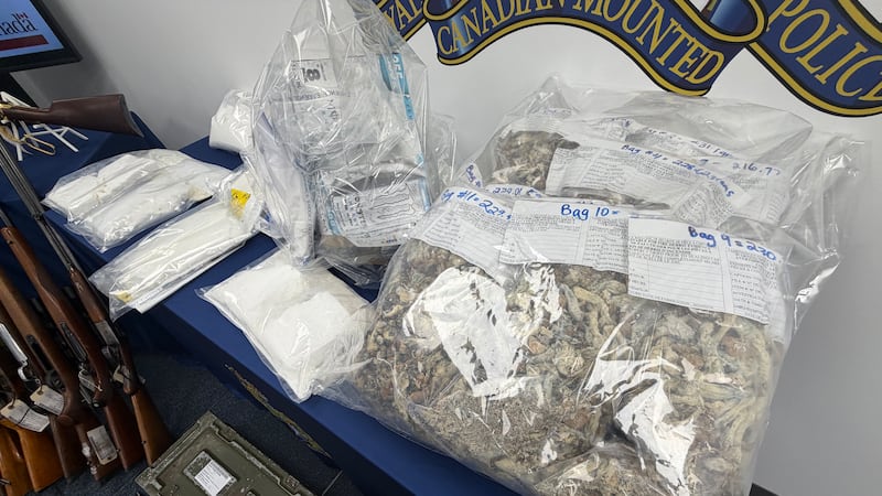 15 arrested, drugs and guns seized during southern Manitoba trafficking investigation: RCMP