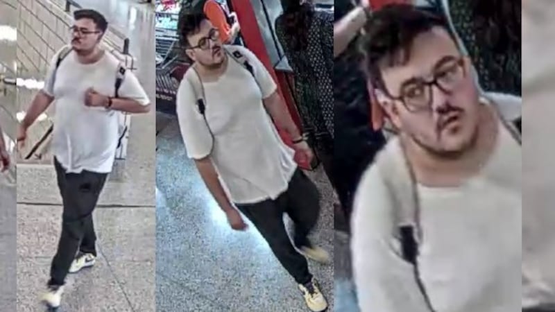 Female sexually assaulted inside Main Subway Station, suspect fled area: Toronto police