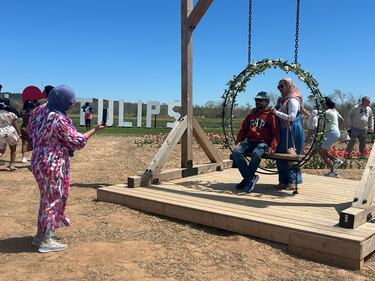 People take photos at the tulip festival at RiverBreeze Farms. (CTV/Jonathan MacInnis)