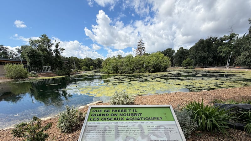 ‘Such a beautiful space’: City spending millions on upgrades to St. Vital Park