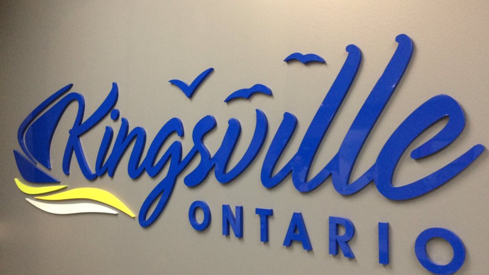 Calling Buzzer Display Kingsville bylaw targets false alarm calls to emergency services